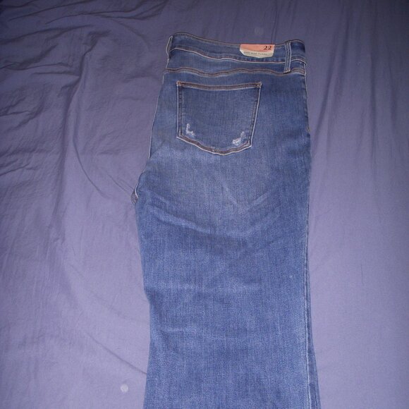 Arula Plus Size Jeans - Picture 3 of 4